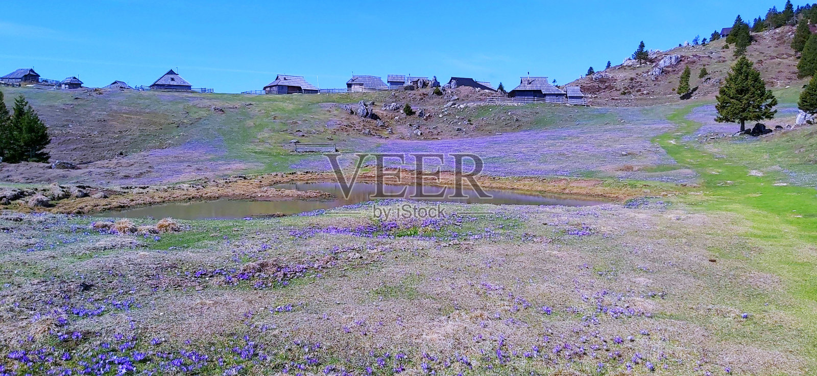 盛开的山照片摄影图片