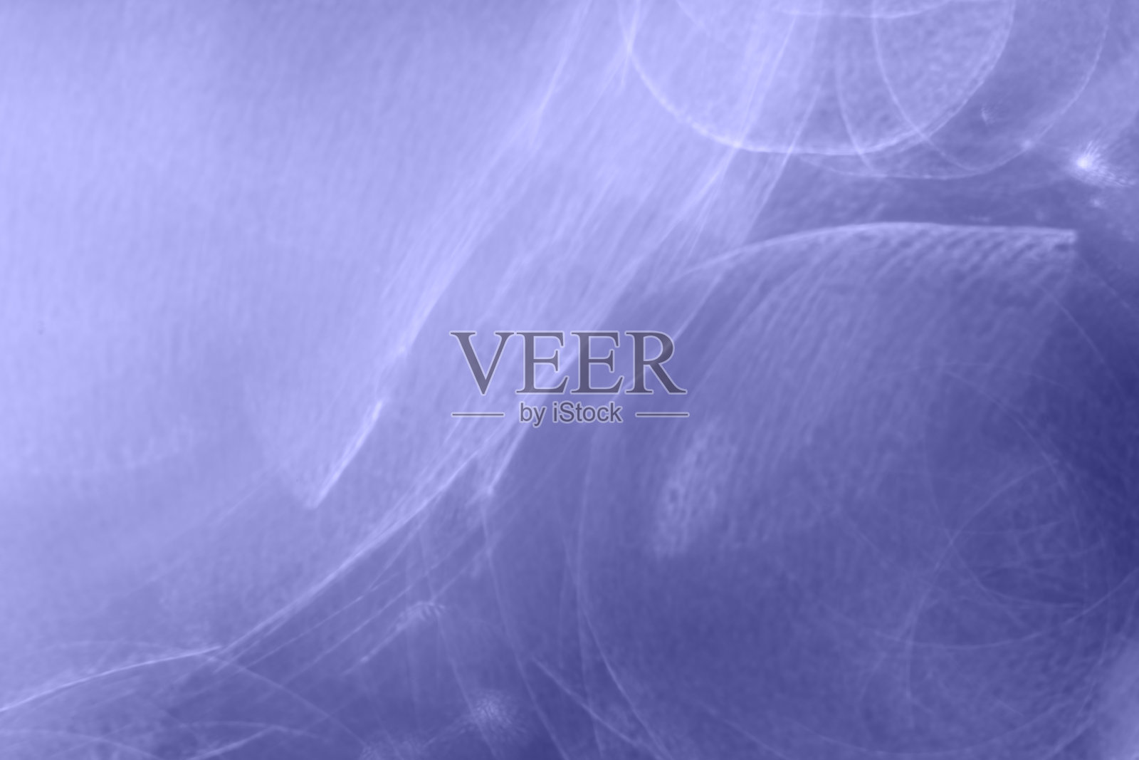 散焦紫色散景灯,2022年最佳颜色照片摄影图片