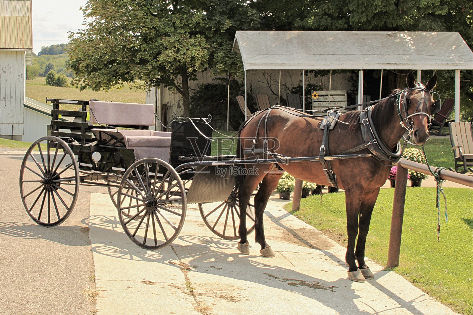 替代交通工具照片摄影图片