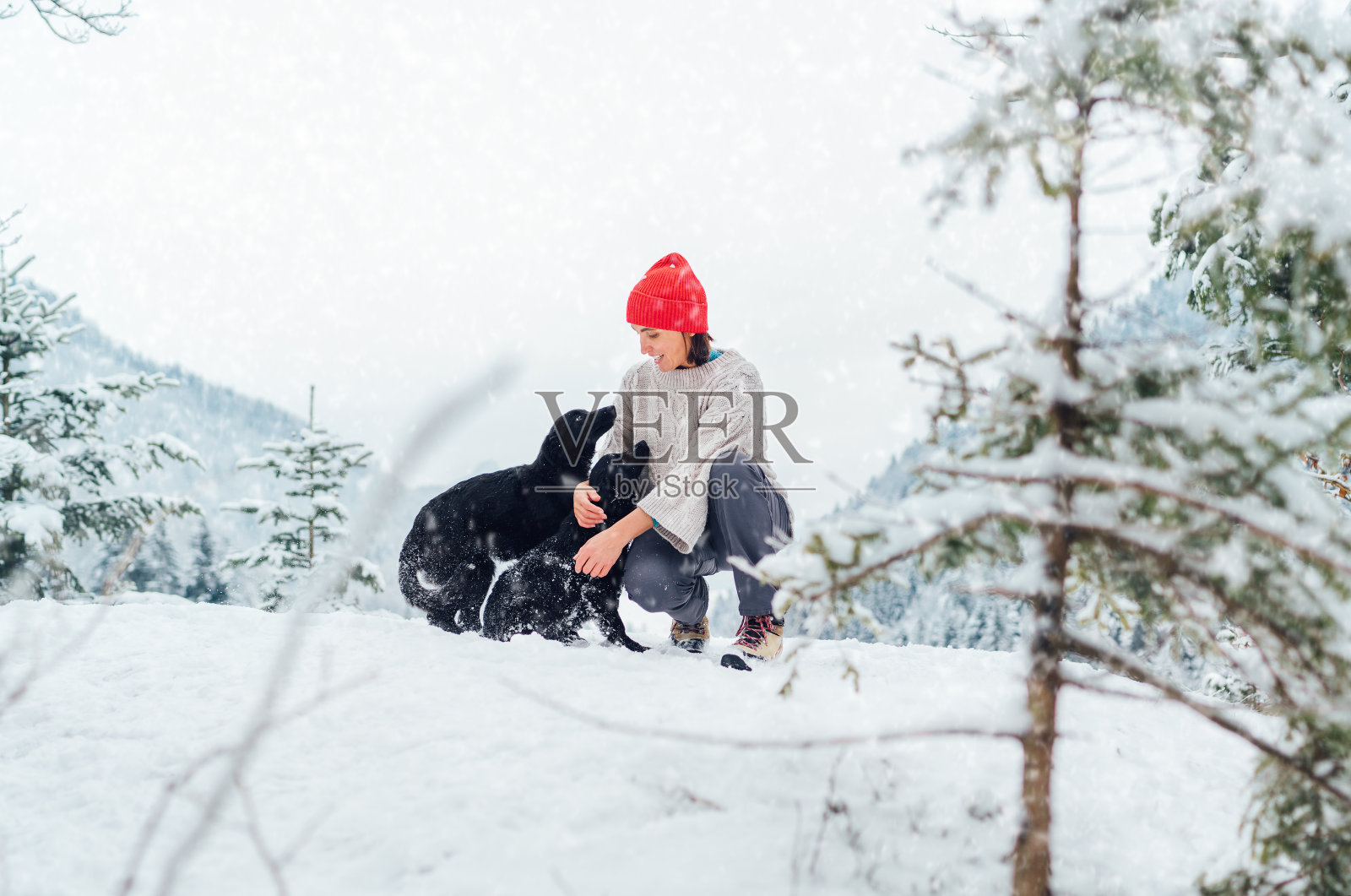 一名年轻女子穿着暖和的针织衣服,在风景如画的雪山户外遛着她的两只狗。女性微笑着和宠物玩耍。人和宠物冬季概念图片照片摄影图片