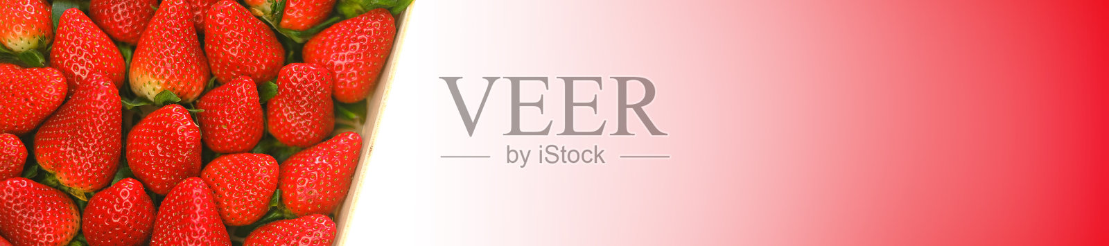 草莓盒孤立在白色背景与红色梯度。有复制空间的浆果横幅。草莓丰收。红色的草莓在一个木盒孤立在白色的背景上照片摄影图片