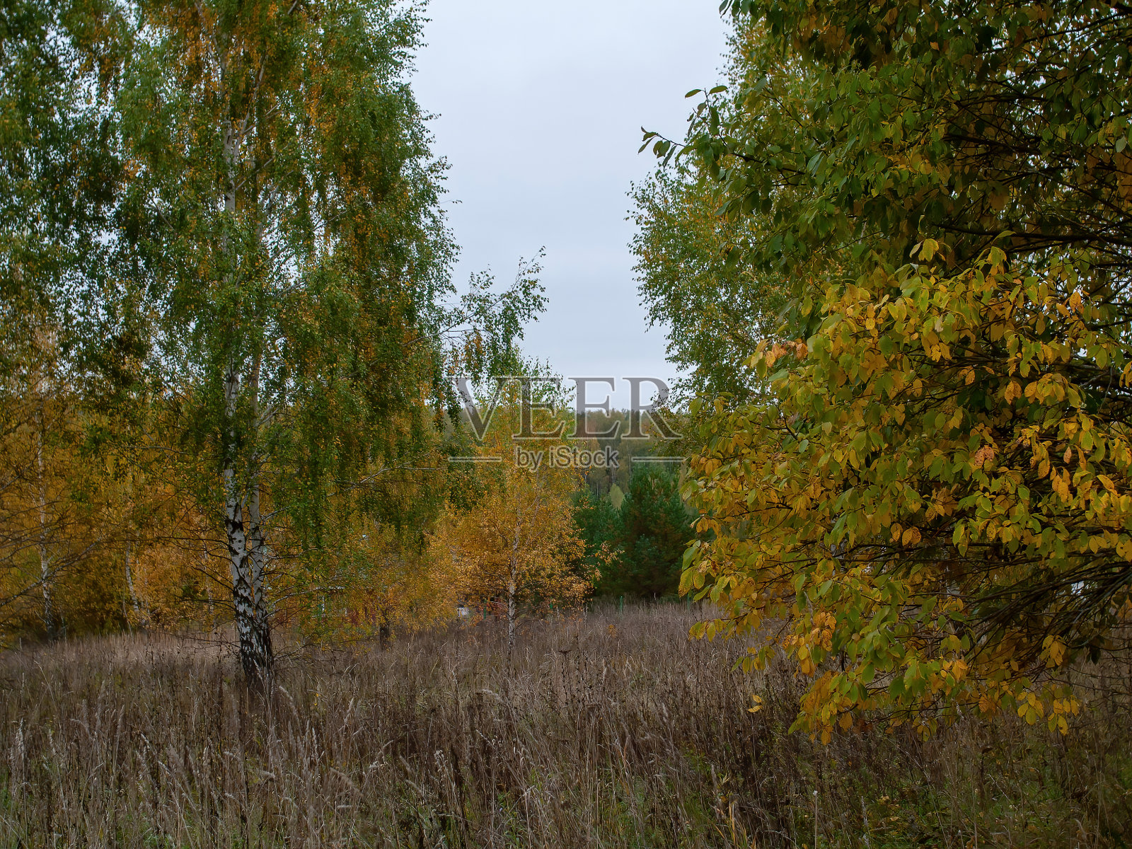 阴天秋日的风景照片摄影图片