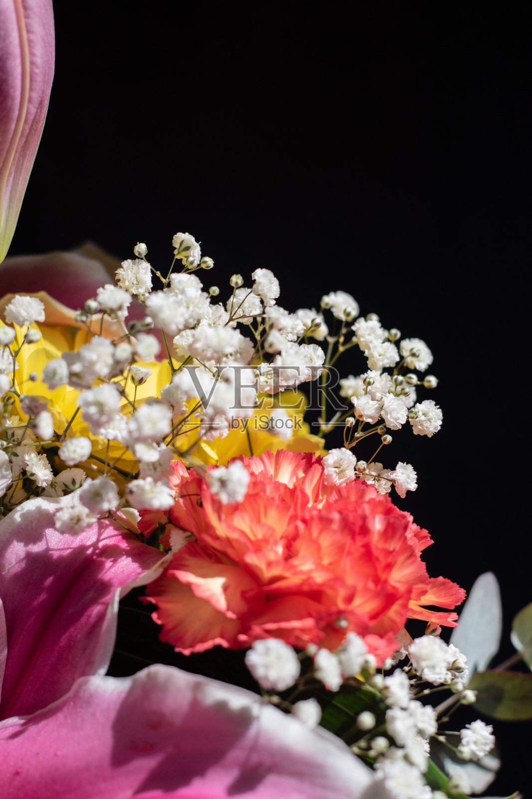 各种各样的花照片摄影图片