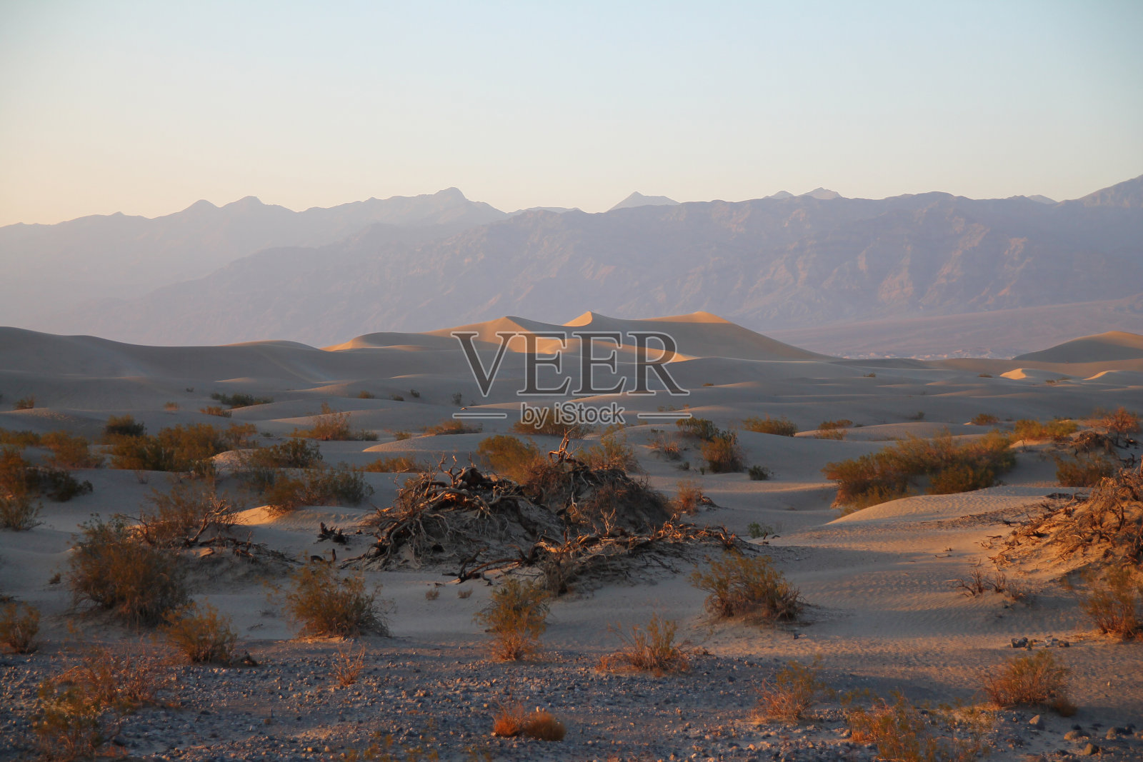 死谷沙漠背后的牧豆树平原沙丘和山脉照片摄影图片