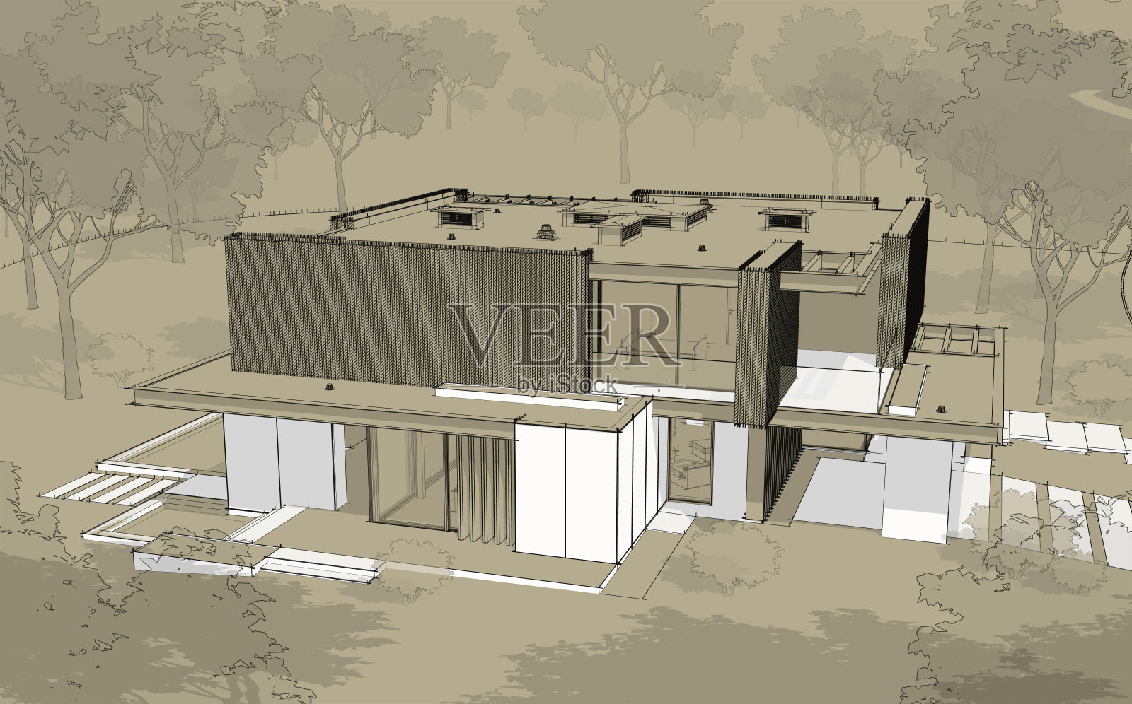 木板外墙黑色线条现代住宅的3D渲染照片摄影图片
