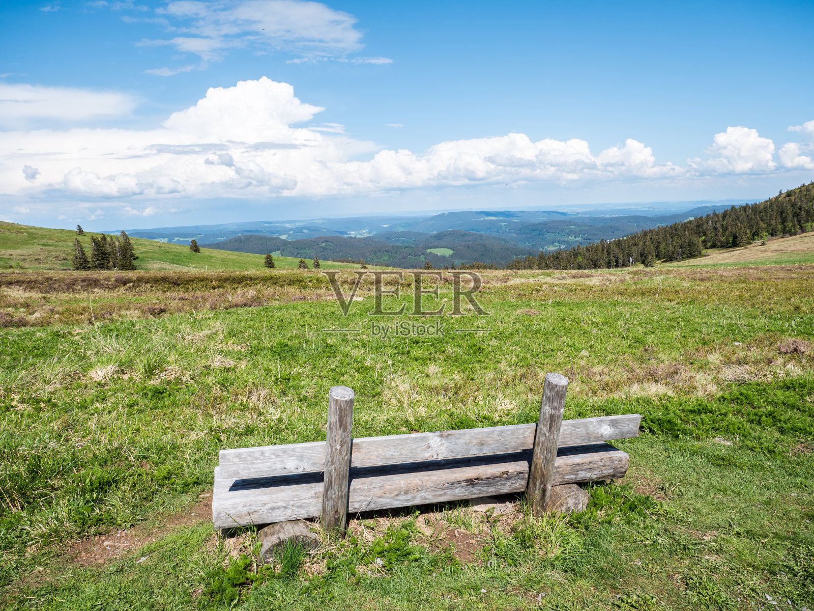 在黑森林的费尔德堡山顶上照片摄影图片