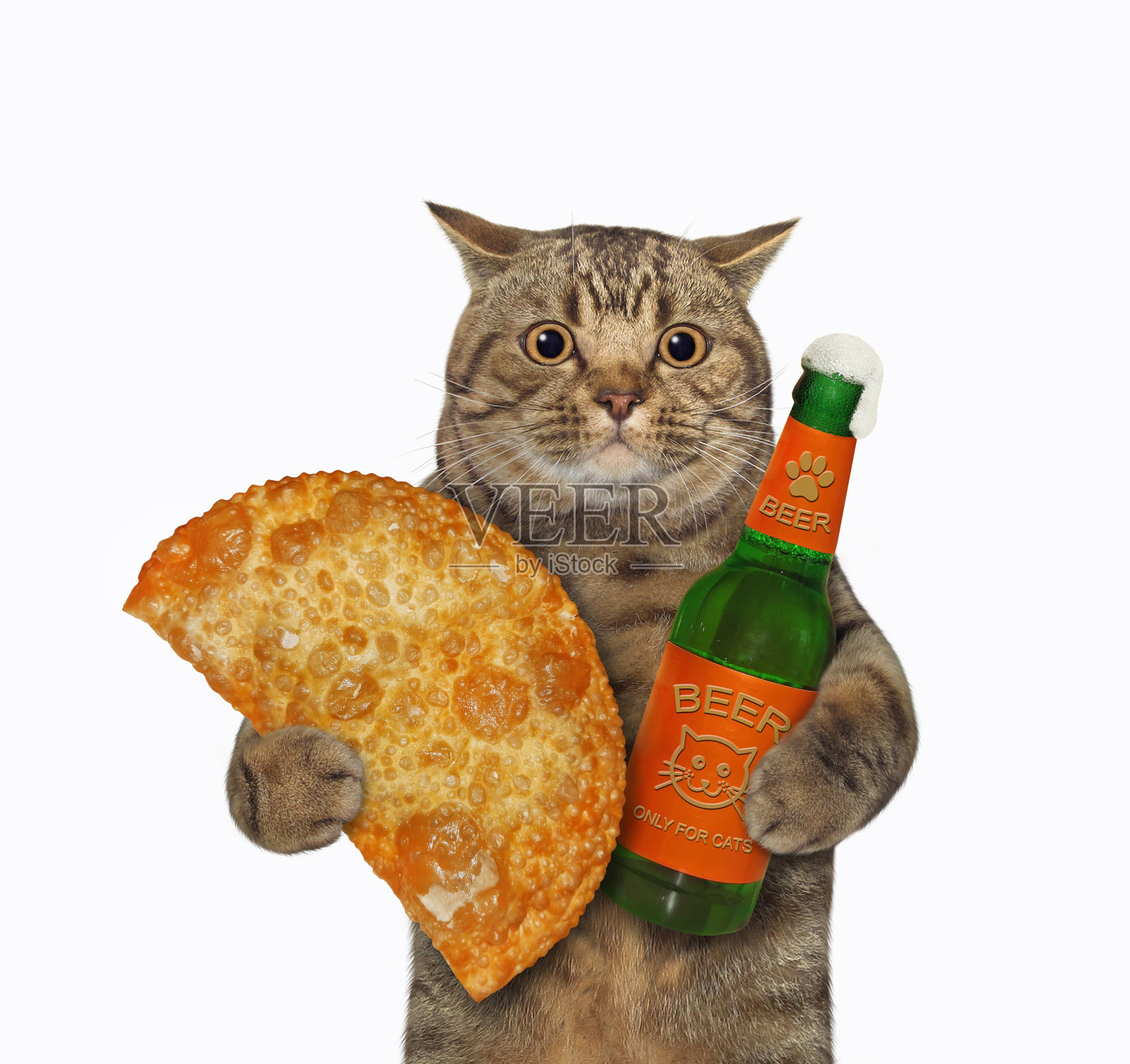 猫拿着油炸馅饼和一瓶啤酒照片摄影图片
