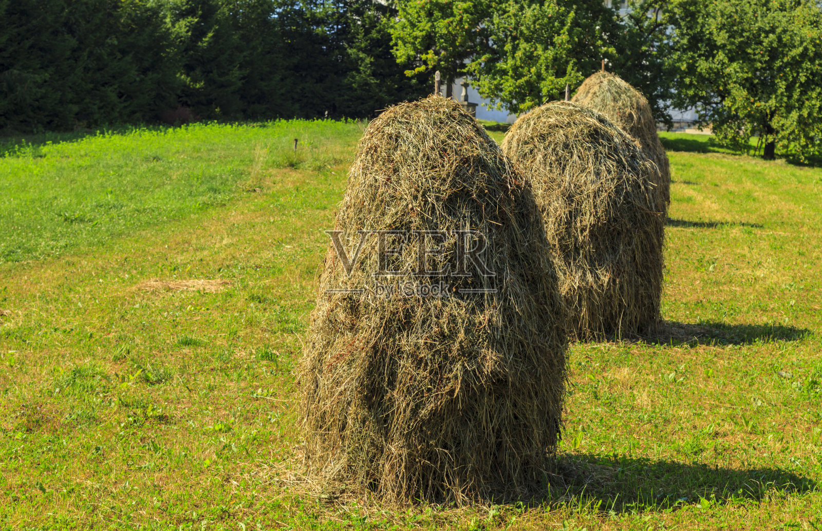 干草堆照片摄影图片