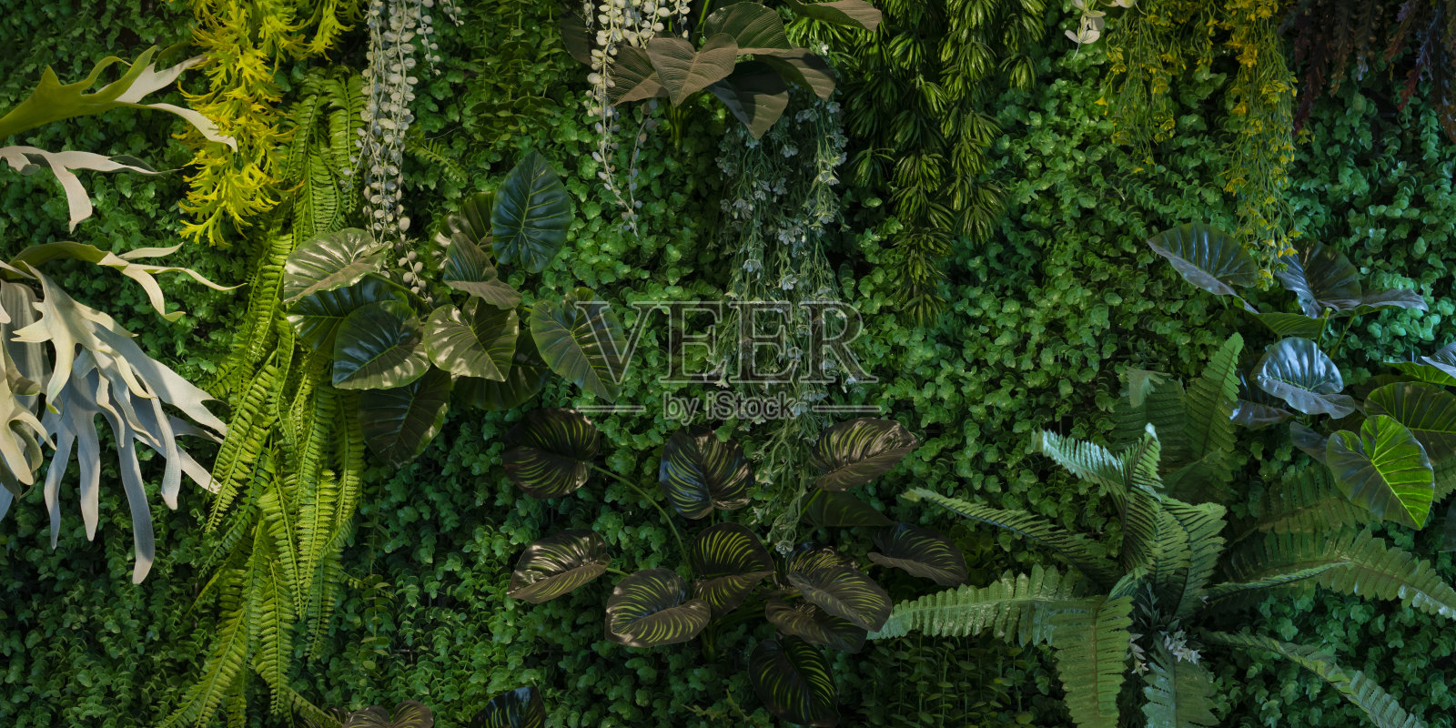 创意自然绿色背景照片摄影图片