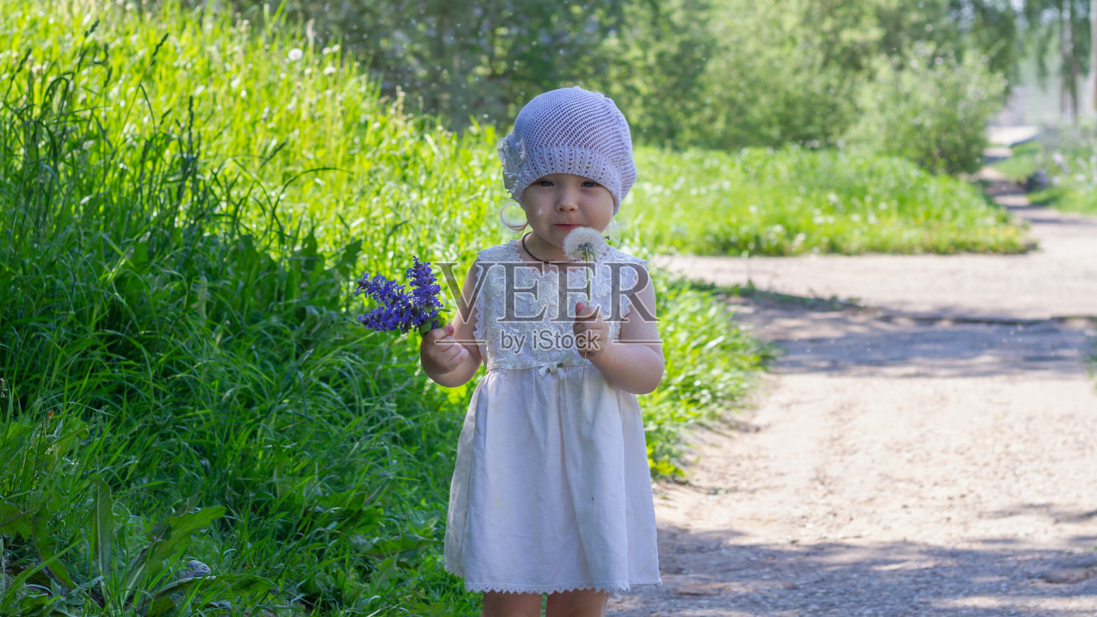 可爱的小女孩穿着白色连衣裙和巴拿马草帽吹在蒲公英在夏天照片摄影图片