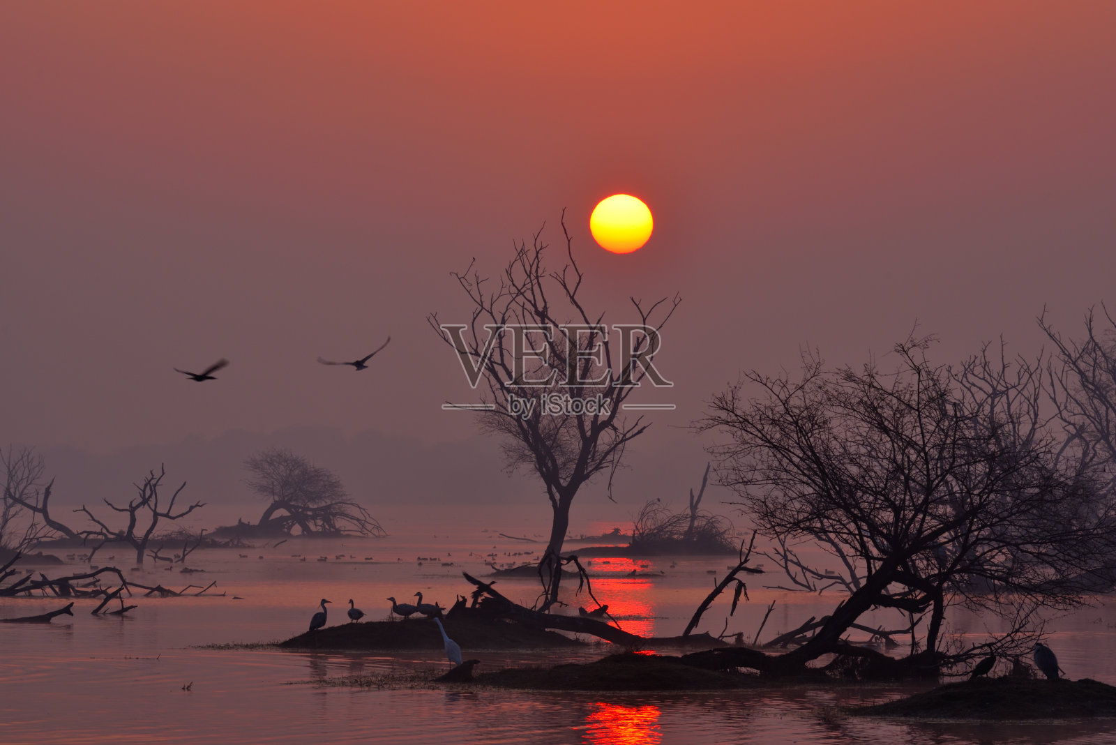 日出照片摄影图片