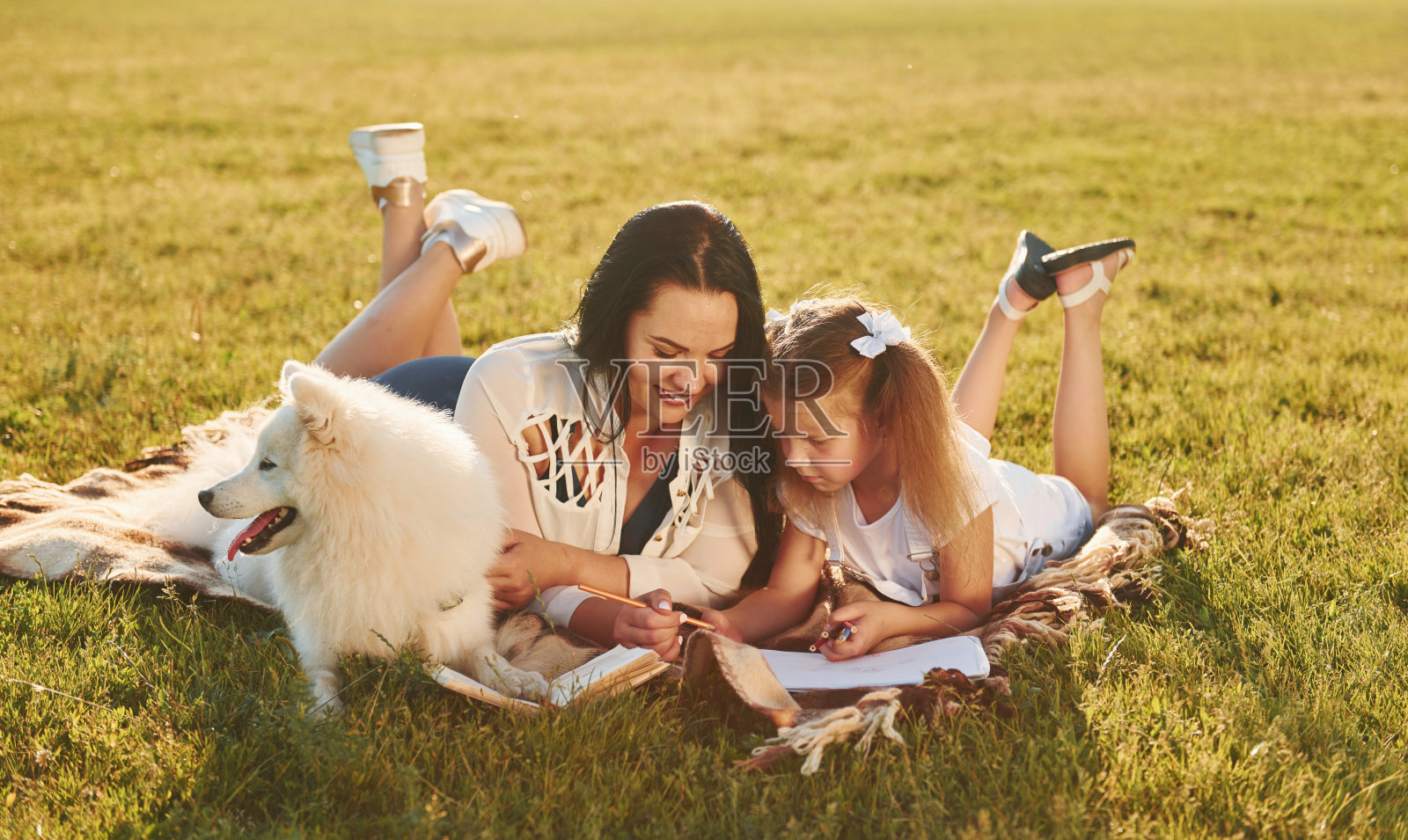 躺在一起。阳光明媚的白天,妇女和小女孩带着狗在田野上散步照片摄影图片