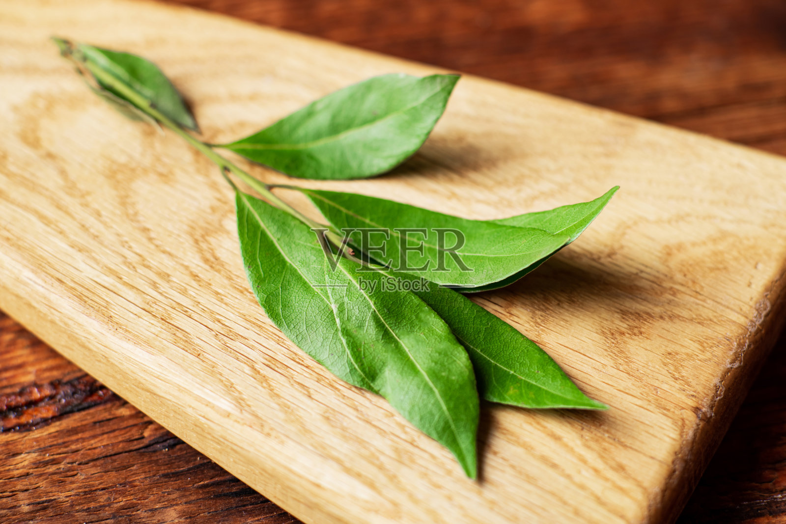 树枝上有月桂叶。宏。光木制背景。照片摄影图片