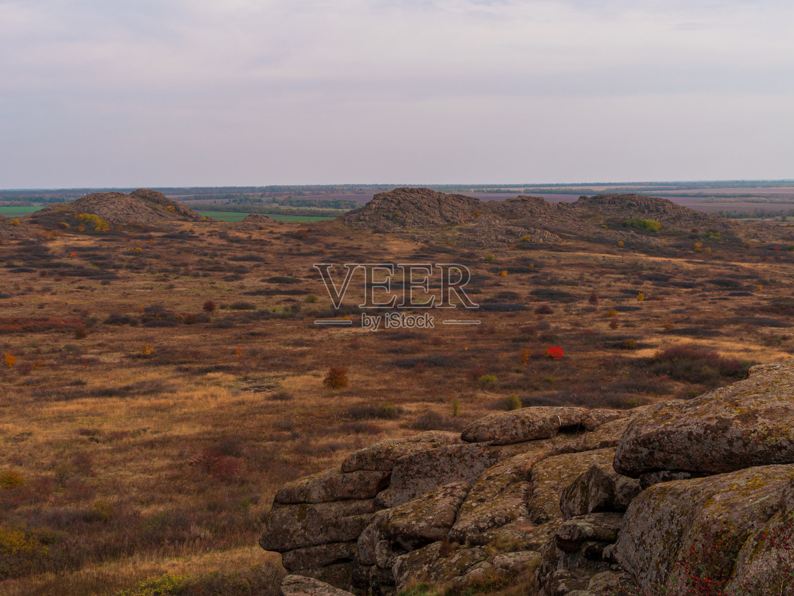 秋天的山景,红色的树,野生的草,飞鸟在蓝色的多云的天空。自然壁纸的海报。照片摄影图片