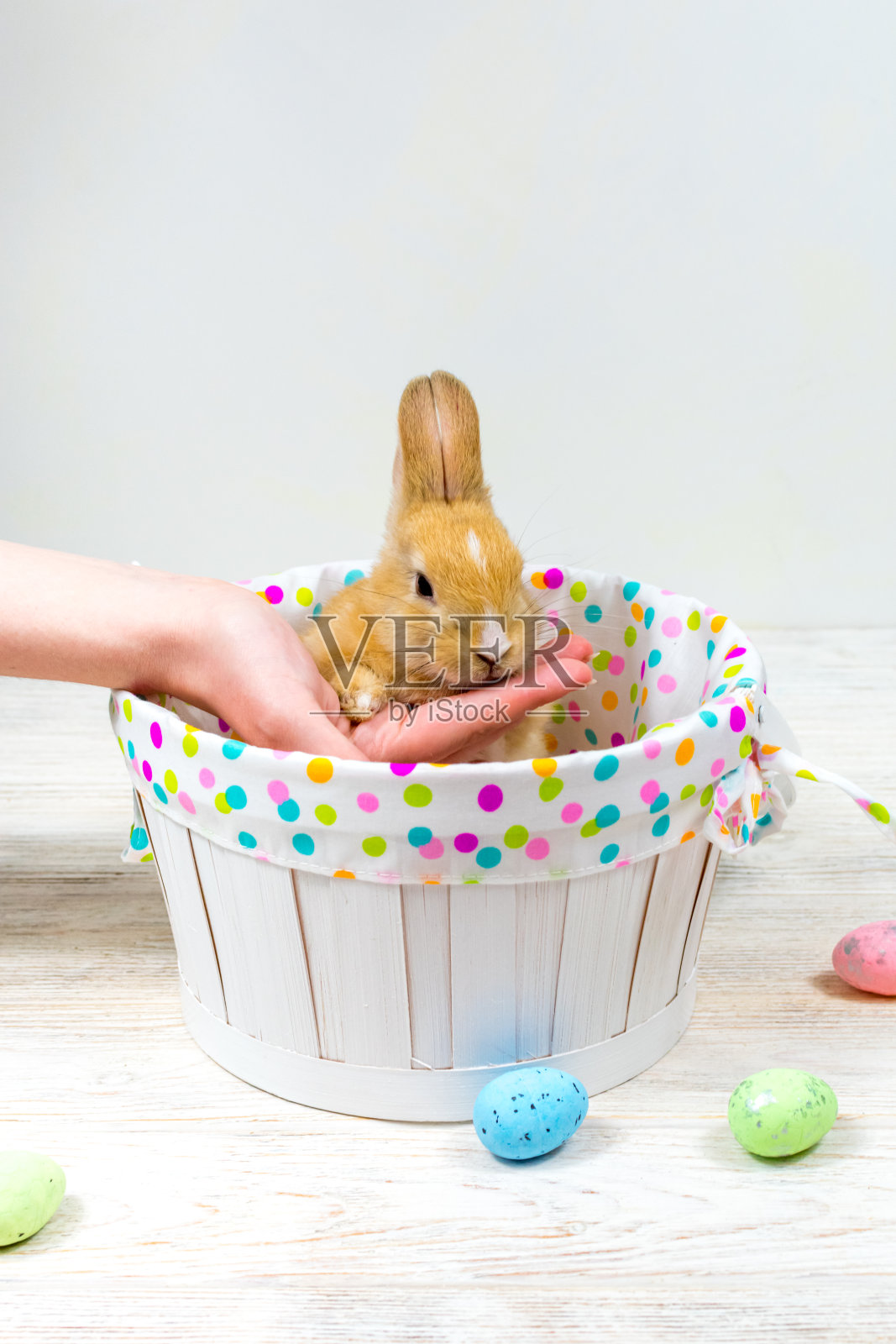 女子的手在一个浅背景的篮子里支撑着可爱的红兔子照片摄影图片