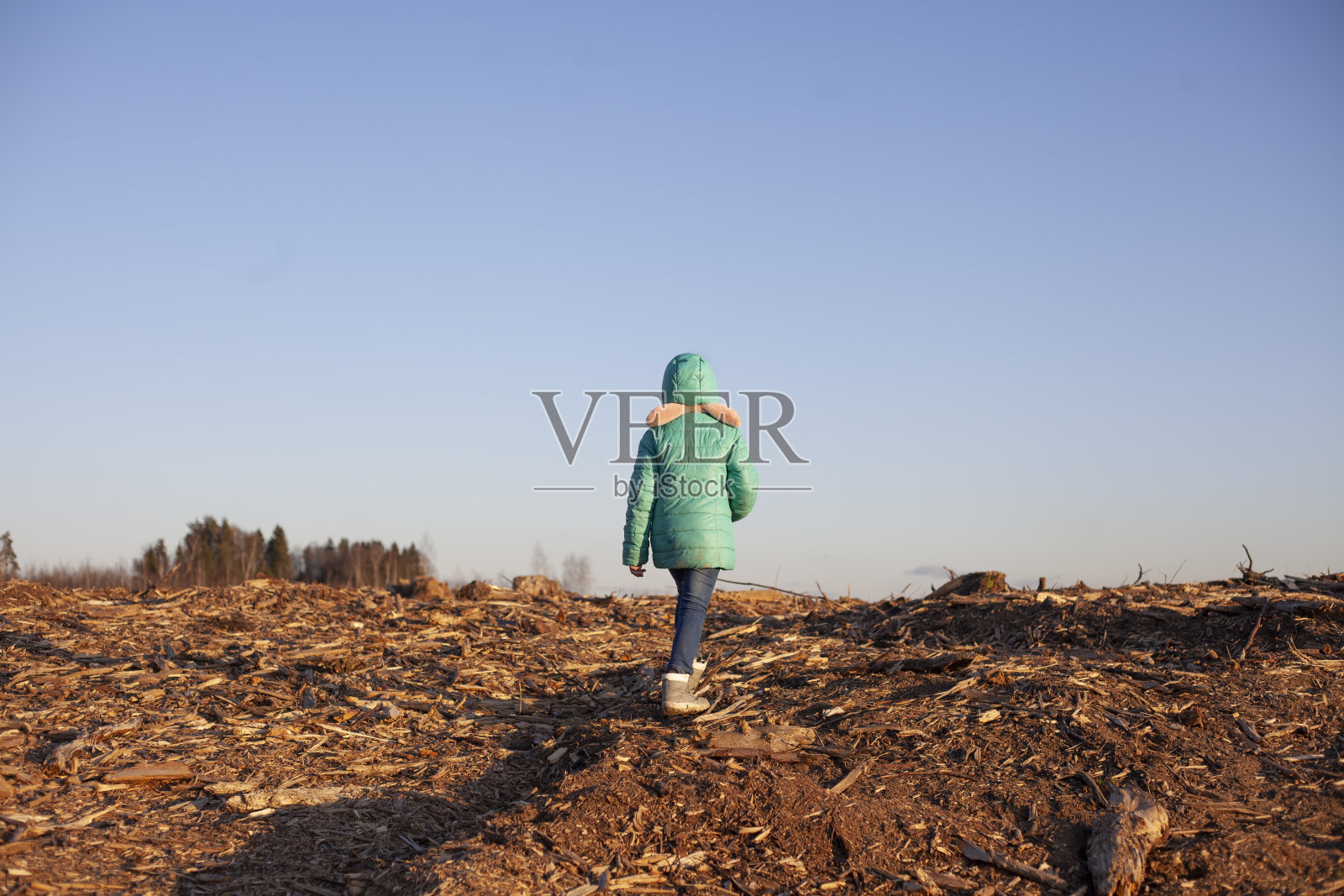 一个孩子在森林的森林里。照片摄影图片