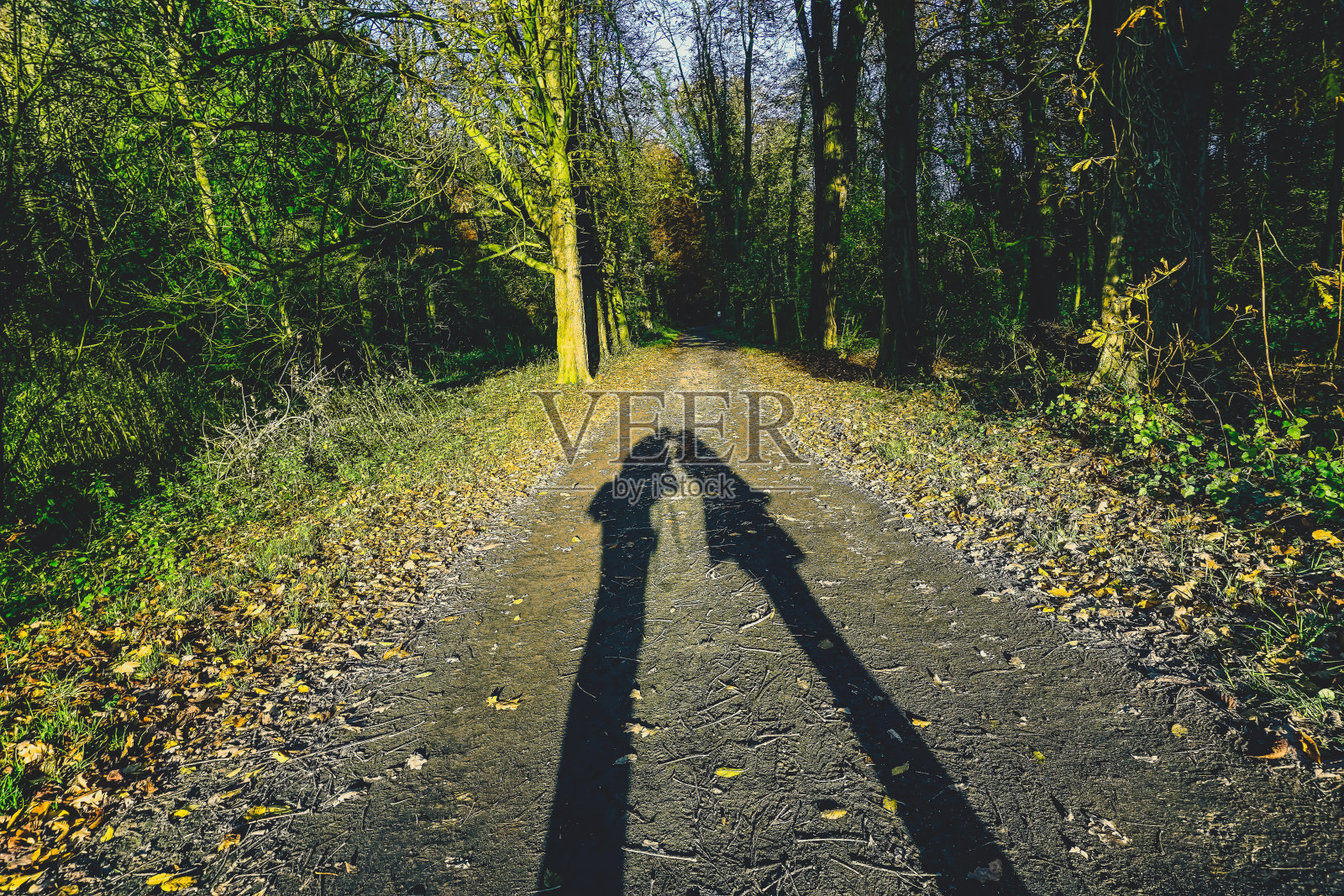 一个在阳光下的吻。照片摄影图片