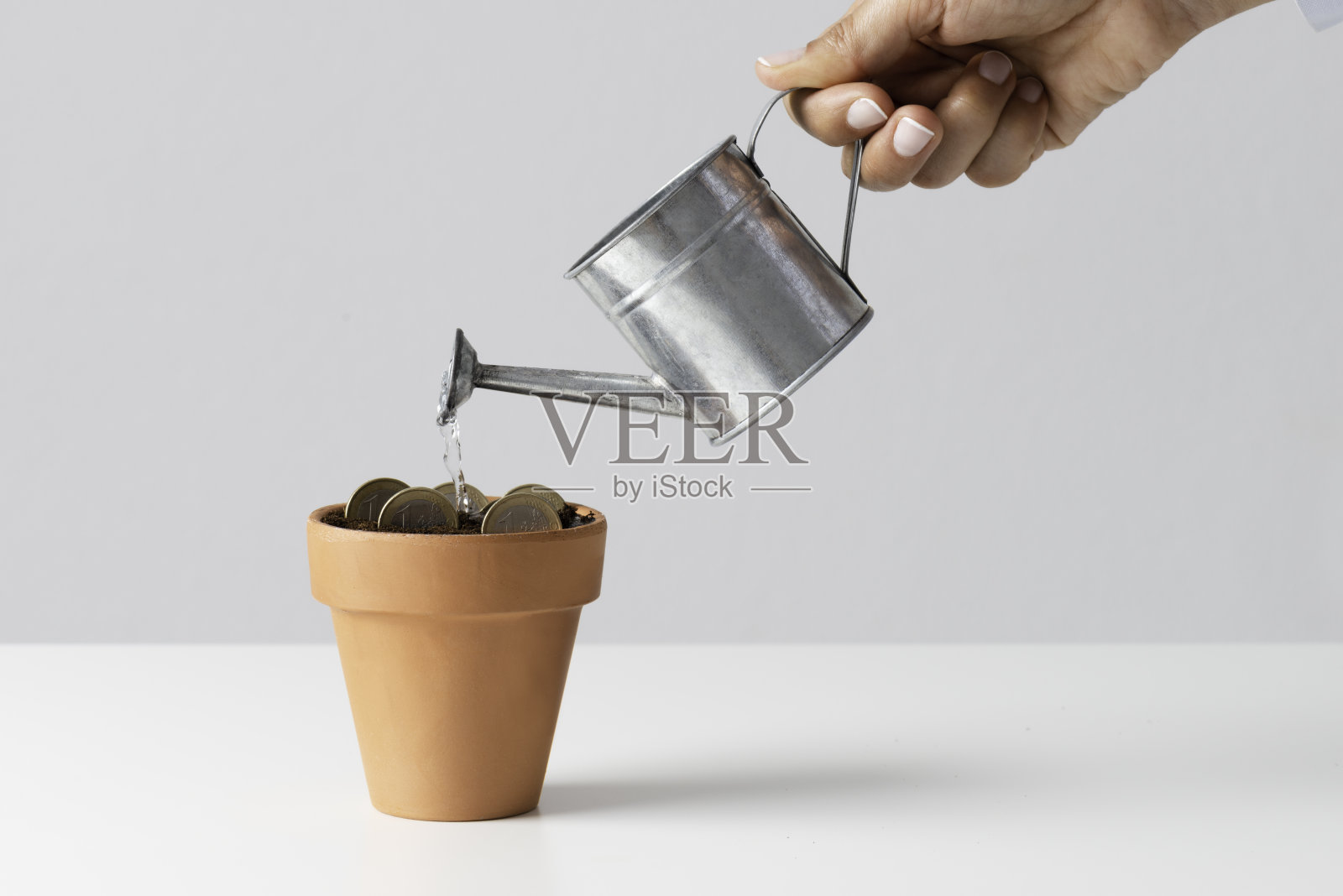 金钱树照片摄影图片