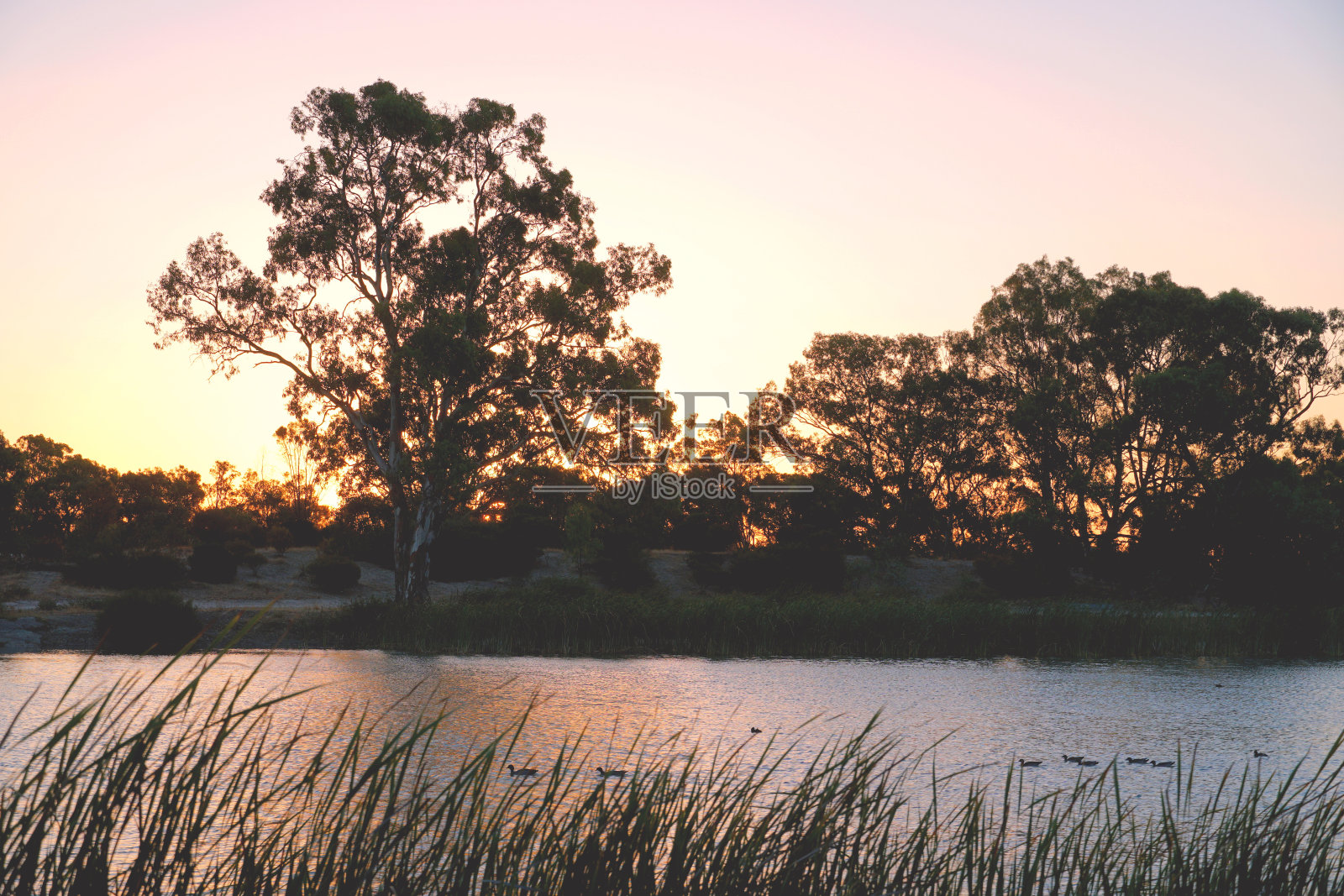 霍舍姆维多利亚,澳大利亚照片摄影图片