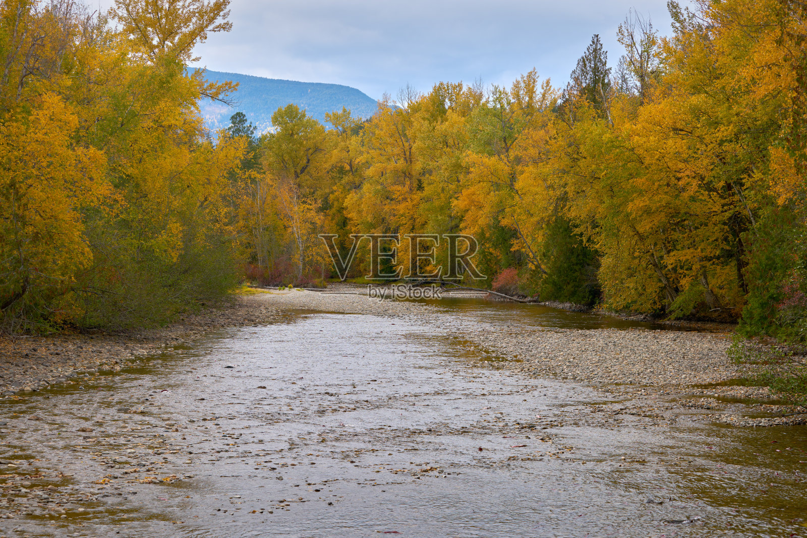 亚当斯河秋色公元前照片摄影图片