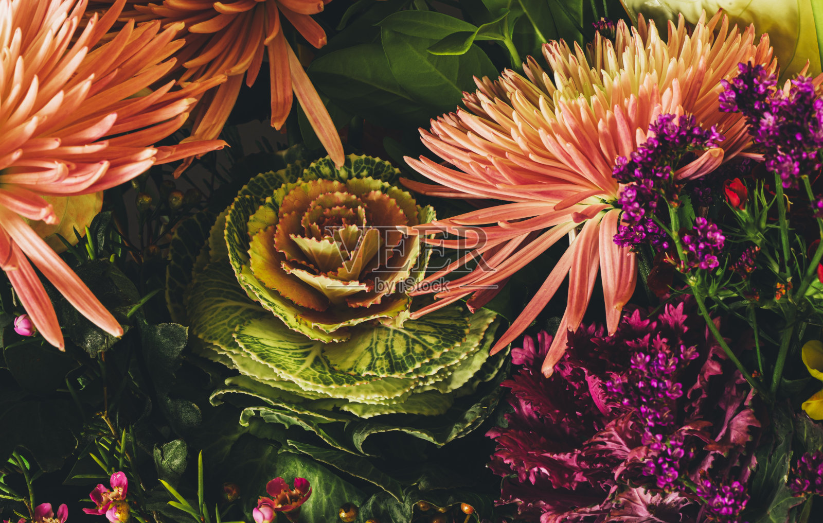 黑色背景上的花园花的花束。特写照片照片摄影图片