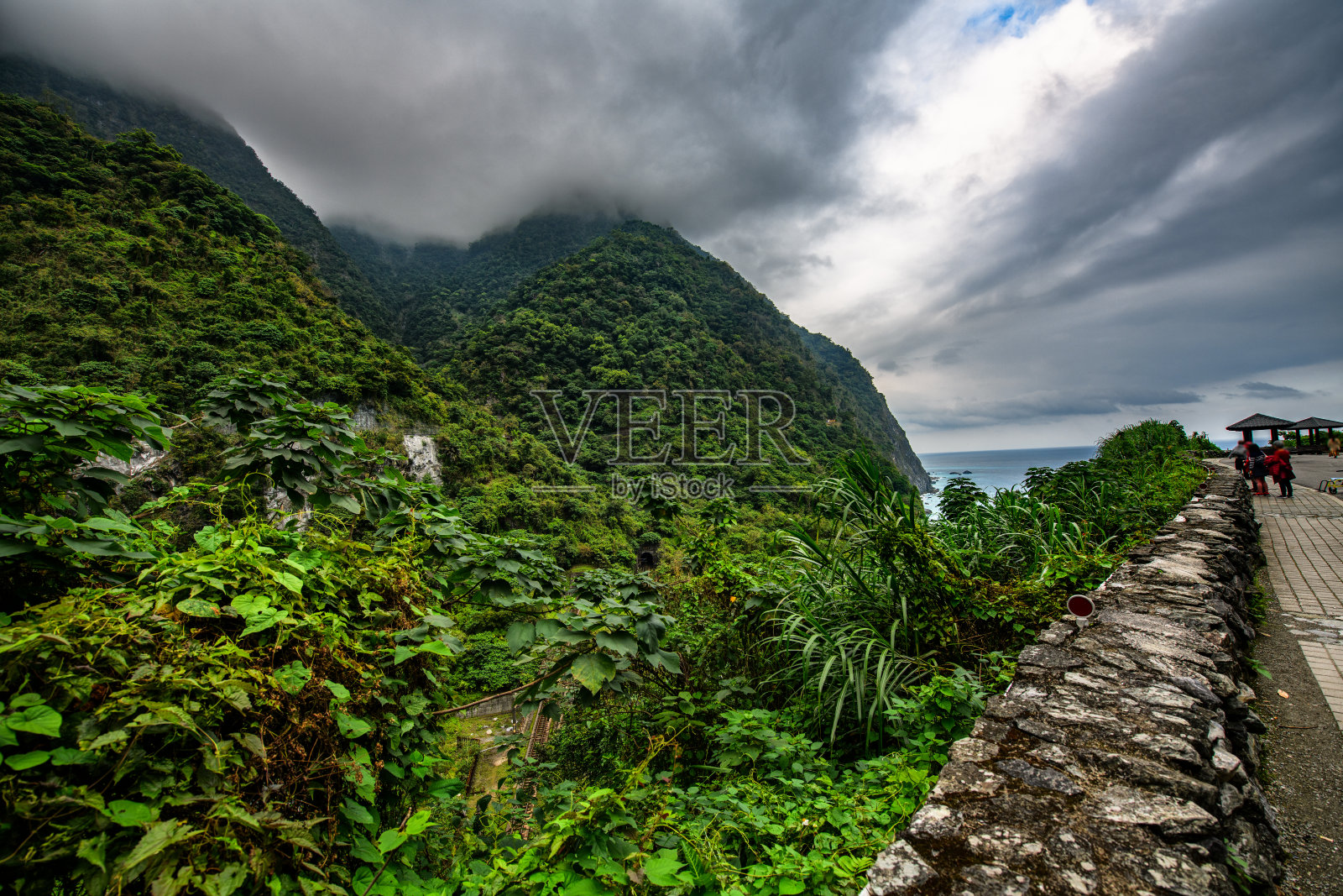 茂密的森林和美丽的悬崖在台湾的太平洋海岸照片摄影图片
