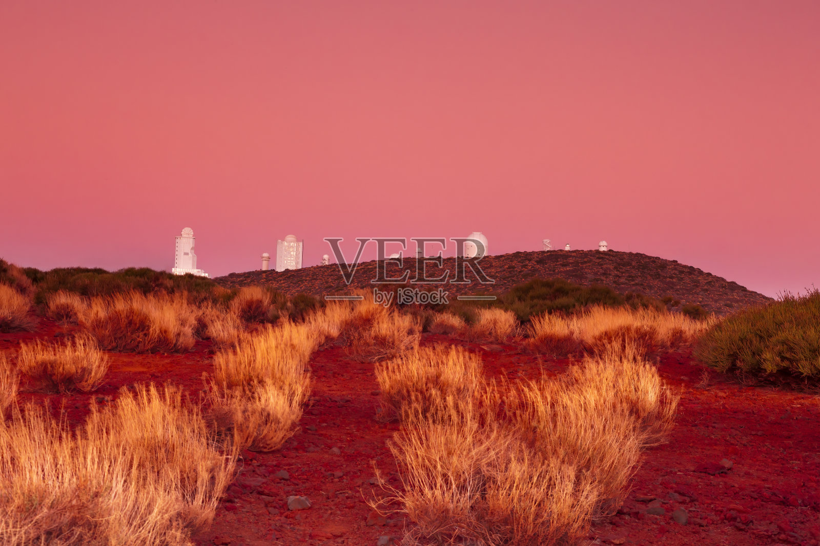 1785 _31c7074。CR2_mm照片摄影图片