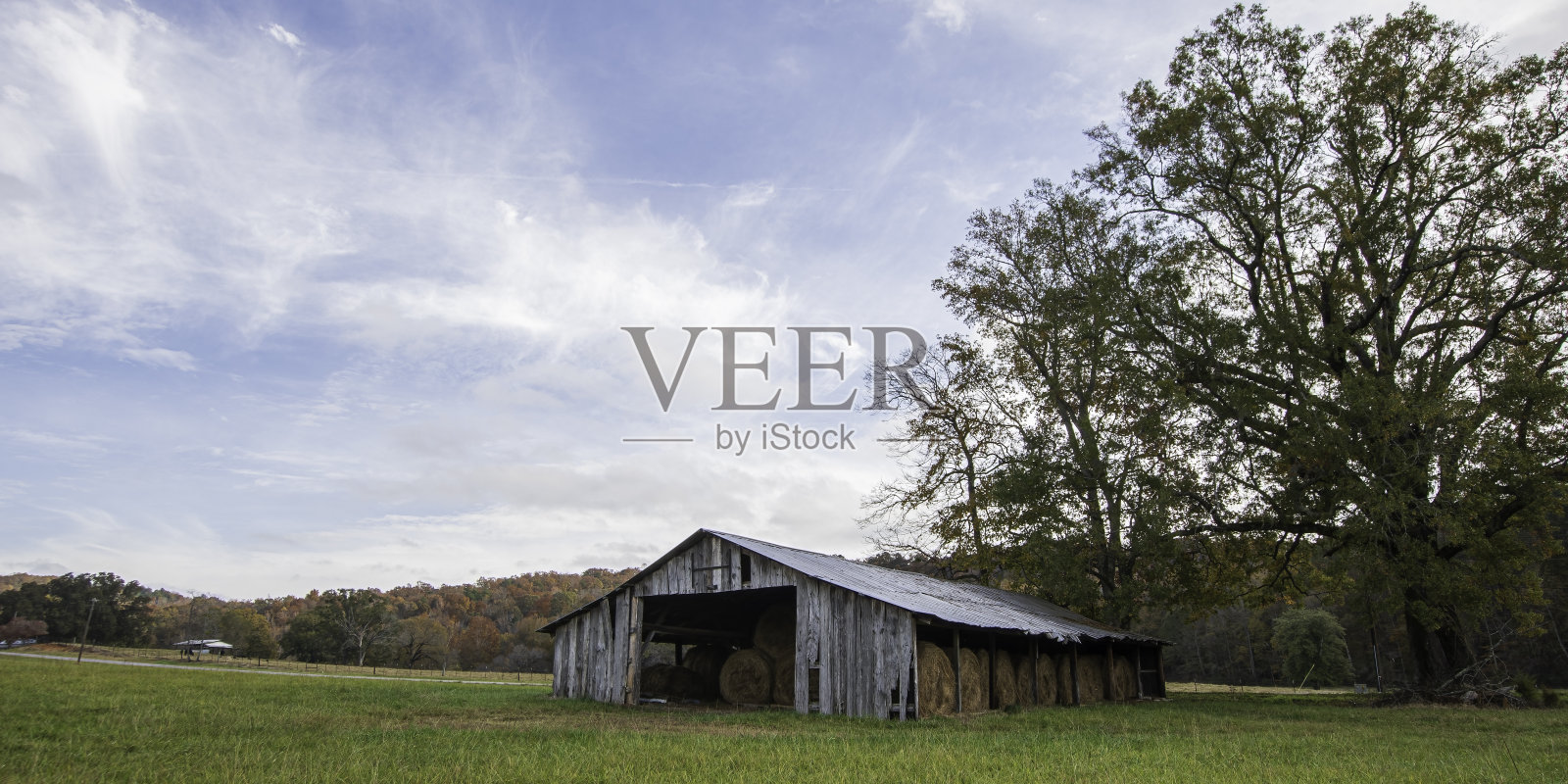 乡村全景,谷仓和大橡树照片摄影图片