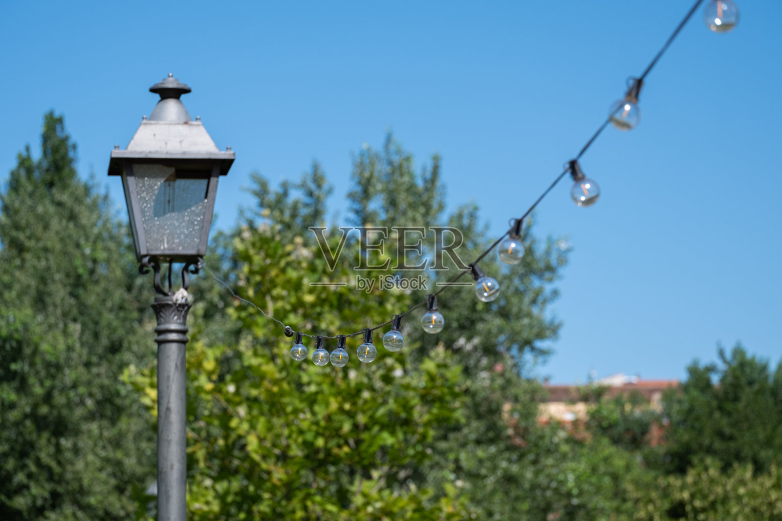 照明景观光公园与电灯泡花环照片摄影图片