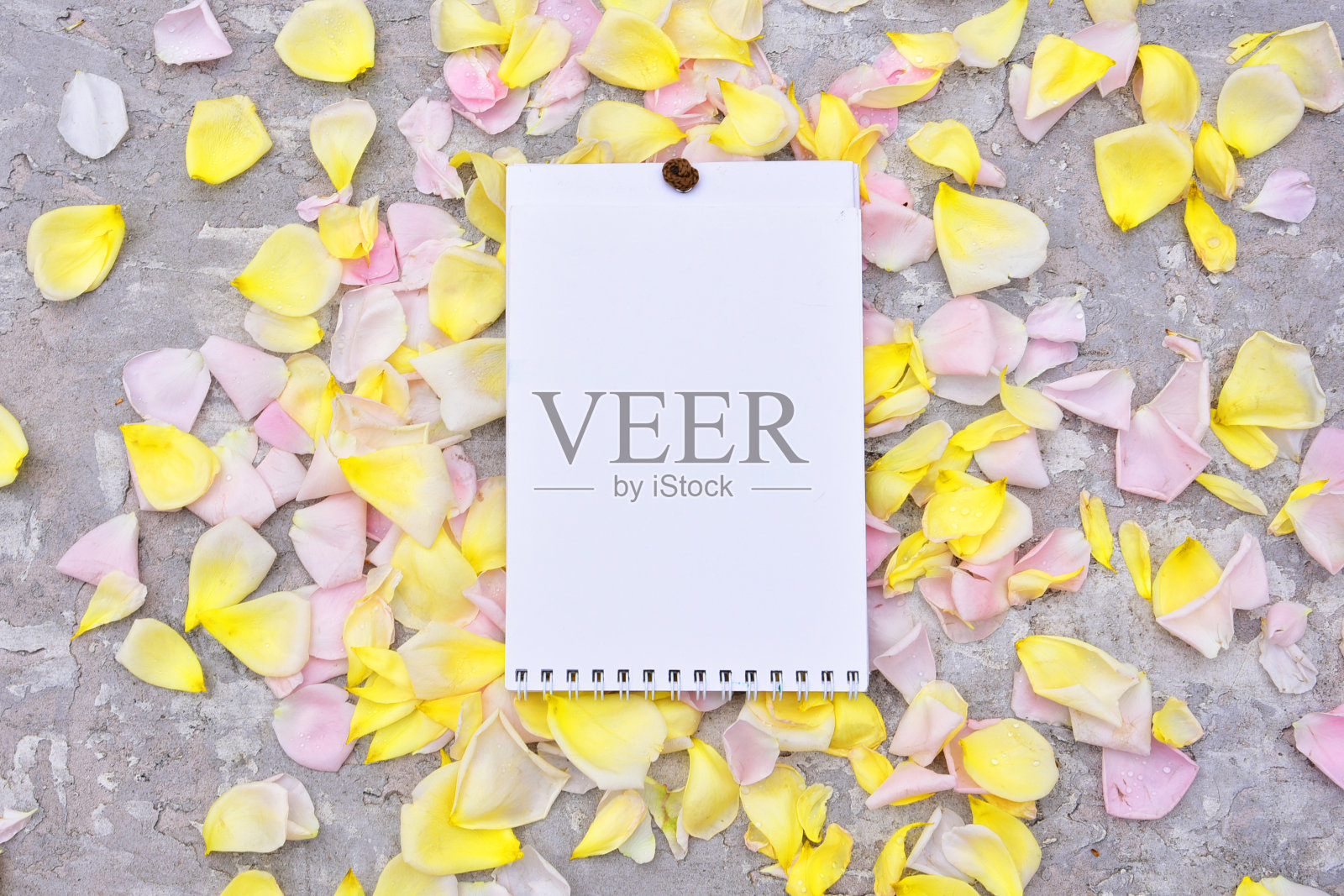 美丽的背景粉红色的玫瑰,花瓣。文本的地方照片摄影图片