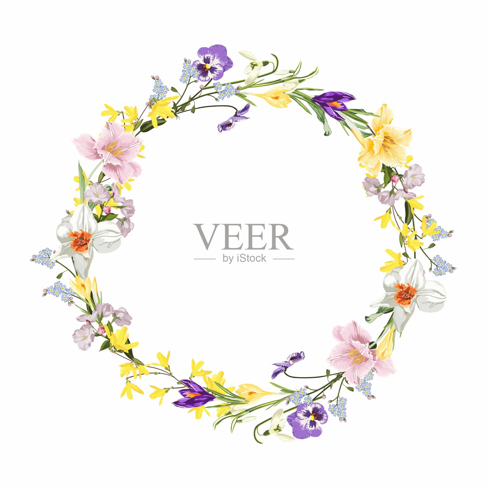 花环框架,边界手绘水彩风格的春天花朵组成藏红花,郁金香,水仙和草药。插画图片素材