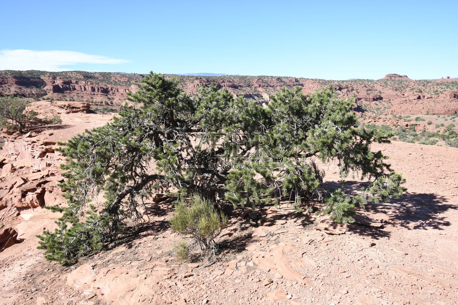 犹他州国家公园的岩层和谷仓照片摄影图片