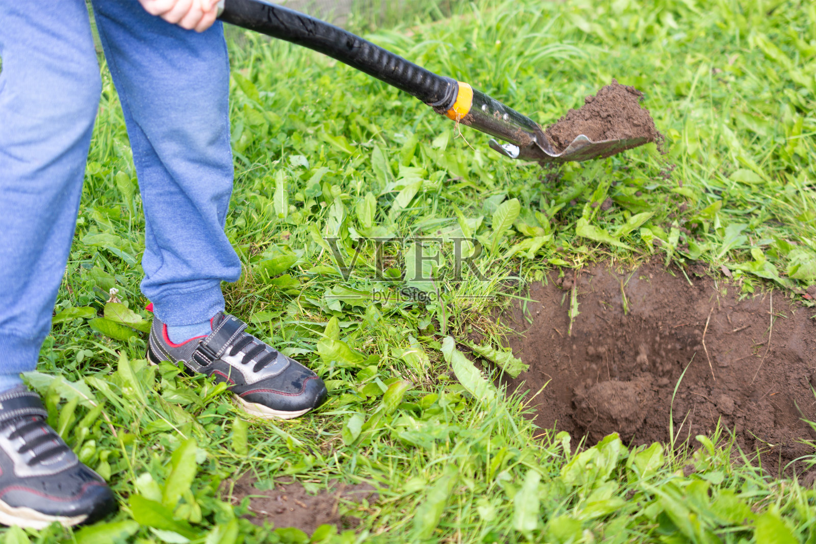 男孩在一所乡村房子的旧址上挖了一个洞,准备种一棵树。乡村度假照片摄影图片