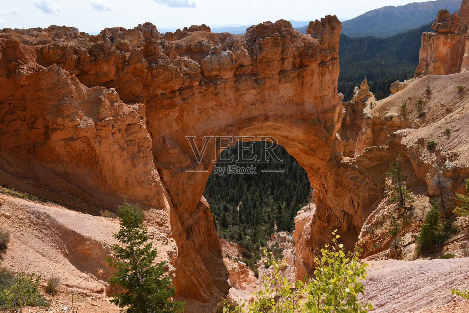 犹他州国家公园的岩层和谷仓照片摄影图片