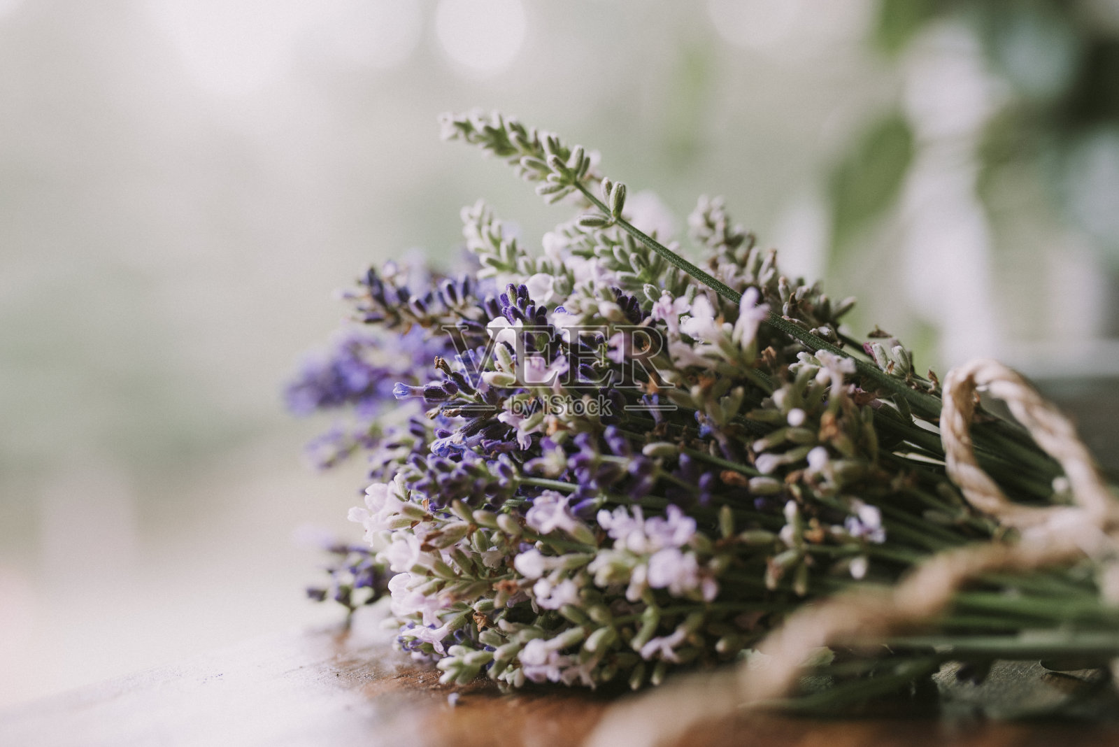 用粗麻绳把薰衣草梗捆在一起照片摄影图片
