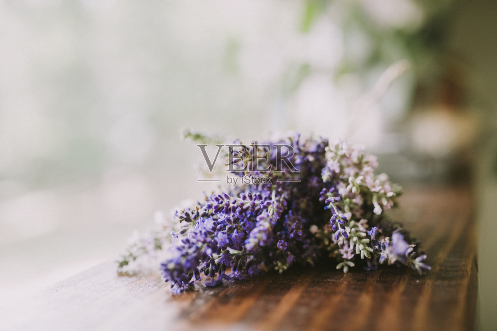 紫色和粉红色薰衣草在焦点与模糊的背景上的木材照片摄影图片