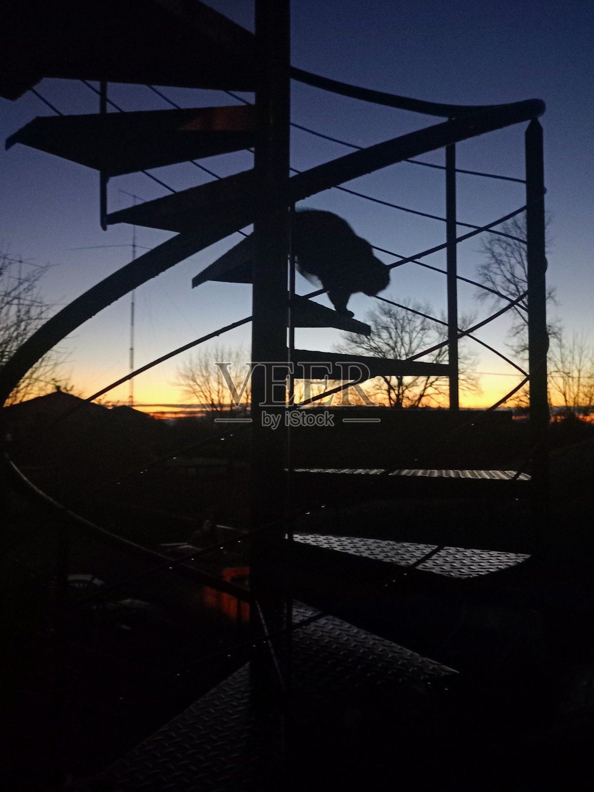 这张照片拍摄的是一只猫在晚上日出或日落时,在黄色和夜蓝色太阳的光线下从螺旋形楼梯下行照片摄影图片