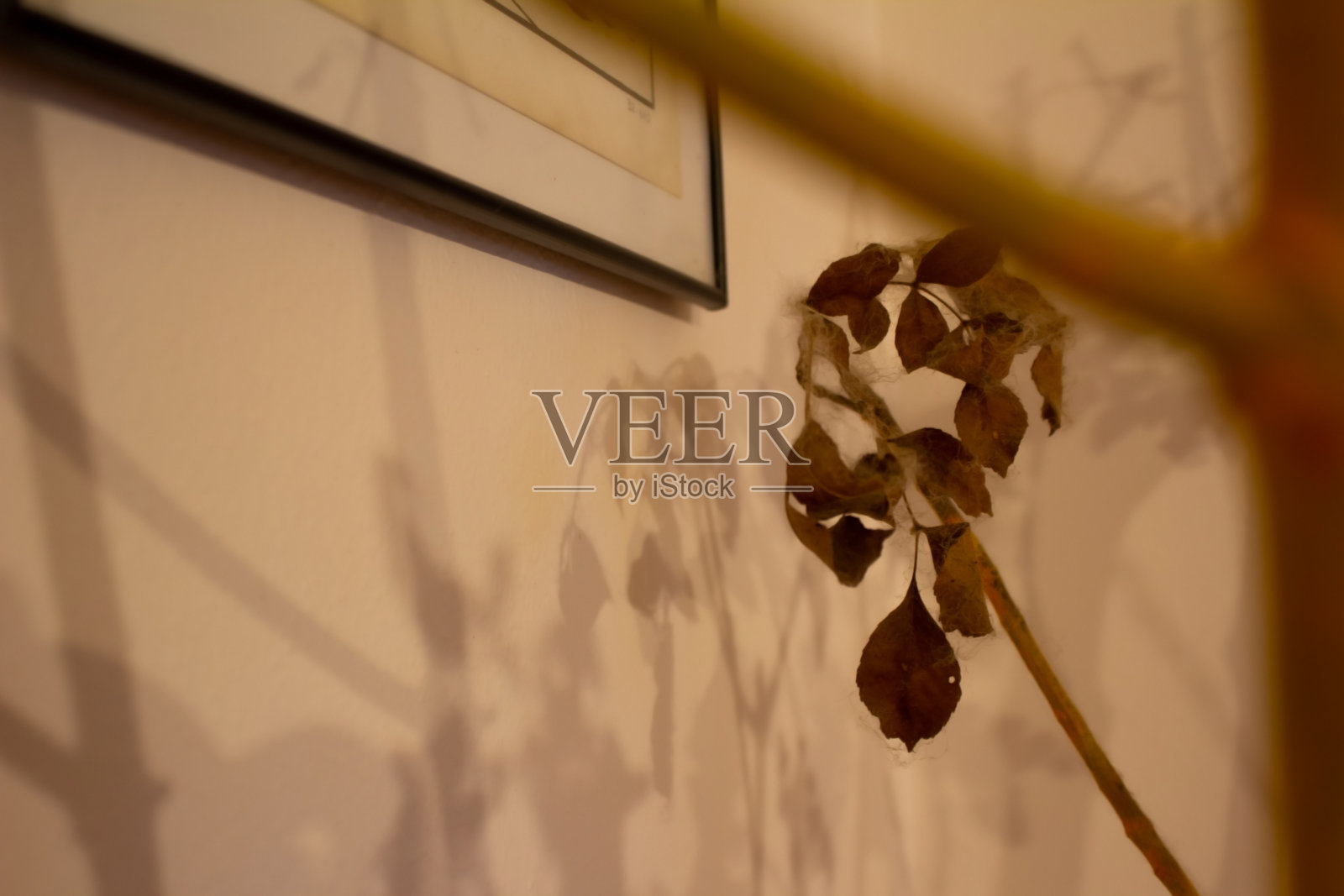 表照片摄影图片