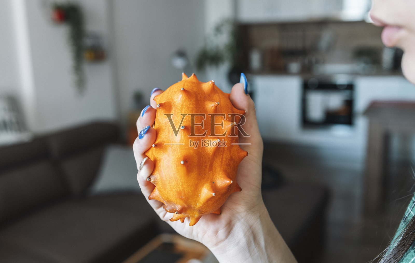 手握火参果。照片摄影图片