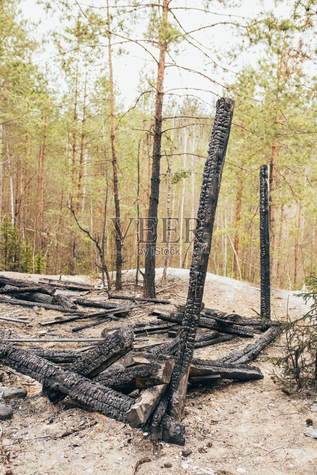 烟灰缸起火后烧焦了一座木制建筑的原木——违反消防安全照片摄影图片