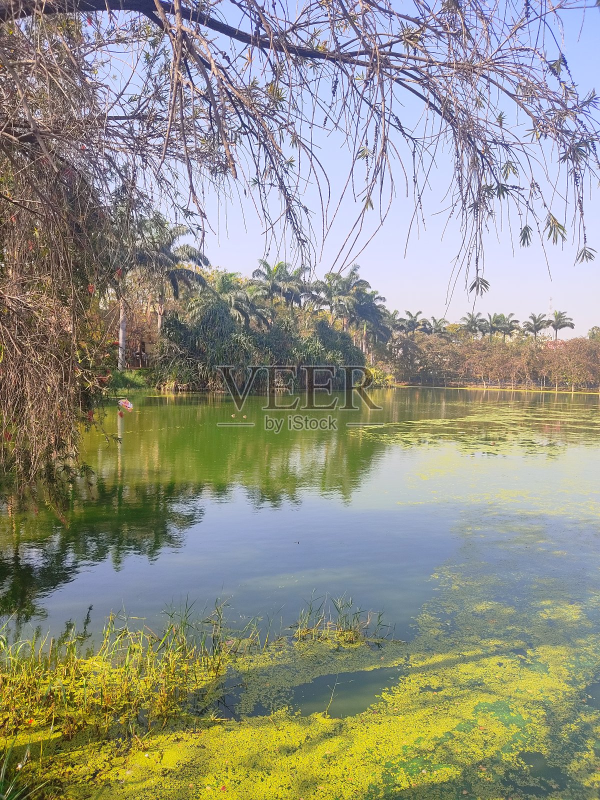 阳光明媚的一天在城市边照片摄影图片