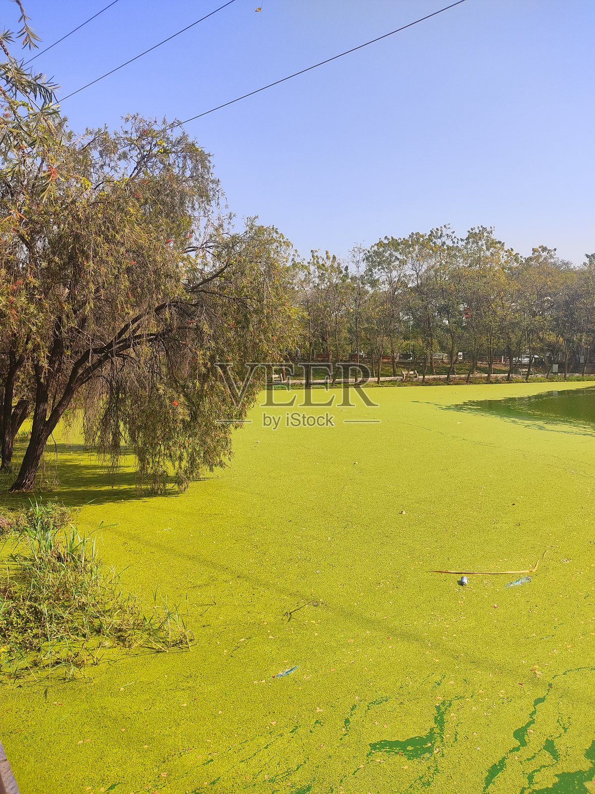 阳光明媚的一天在城市边照片摄影图片