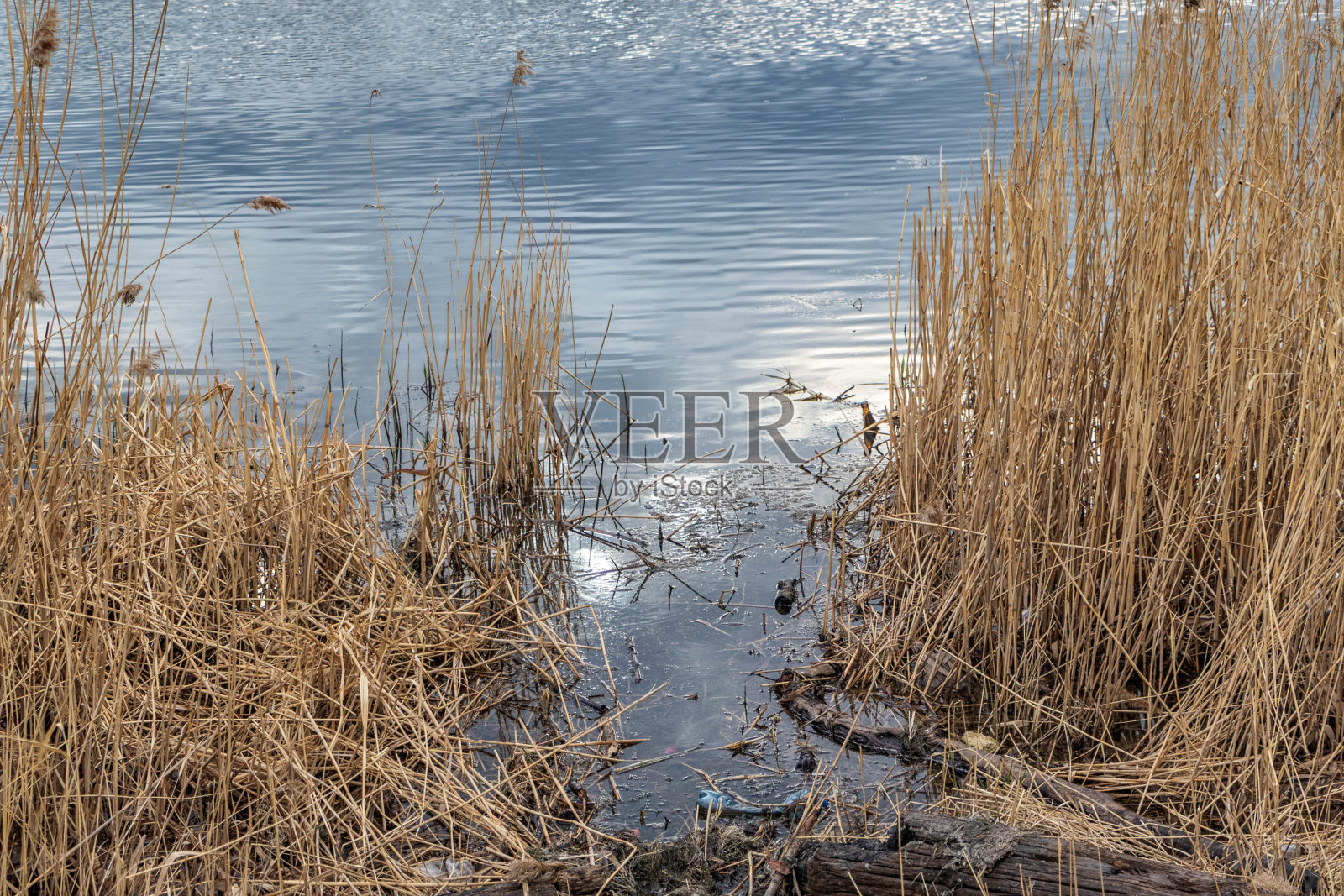 春天的景色,阳光照在湖面上。照片摄影图片