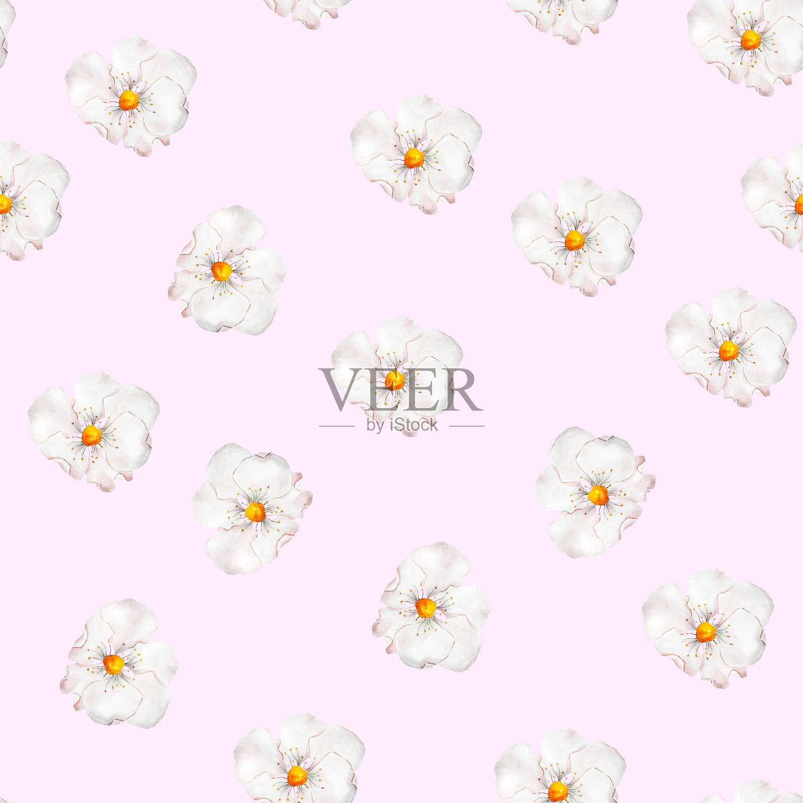 白色花朵上精致的粉红色水彩无缝图案插画图片素材