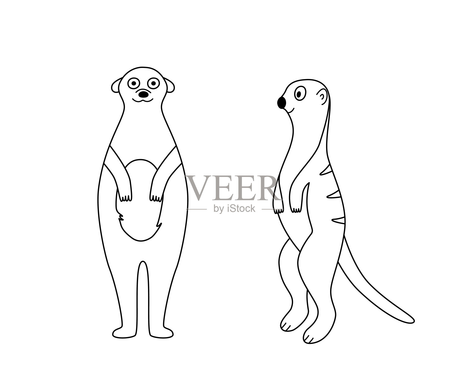 两只站着的猫鼬剪影,可爱的卡通猫鼬为标志,着色。矢量插图的非洲动物孤立在白色。插画图片素材