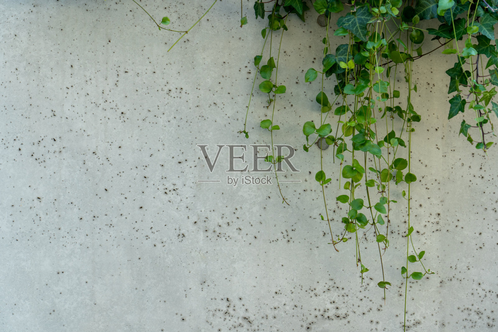 屋顶绿化照片摄影图片