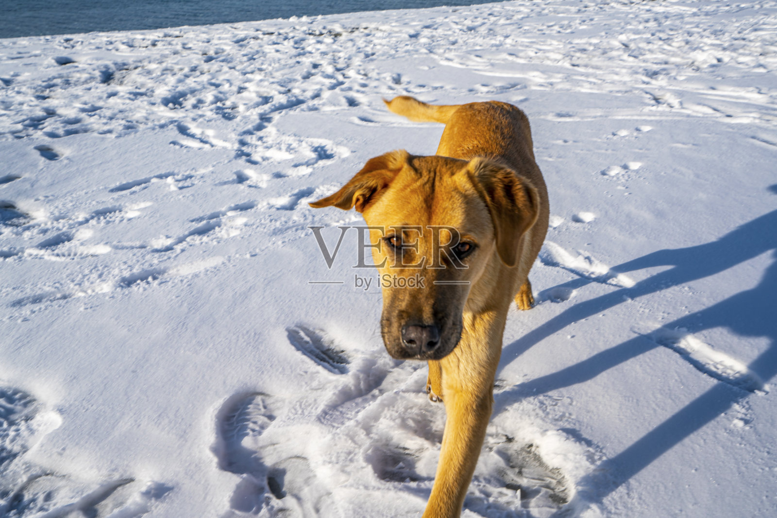 土耳其布尔杜尔,萨尔达湖的冬季风景照片摄影图片