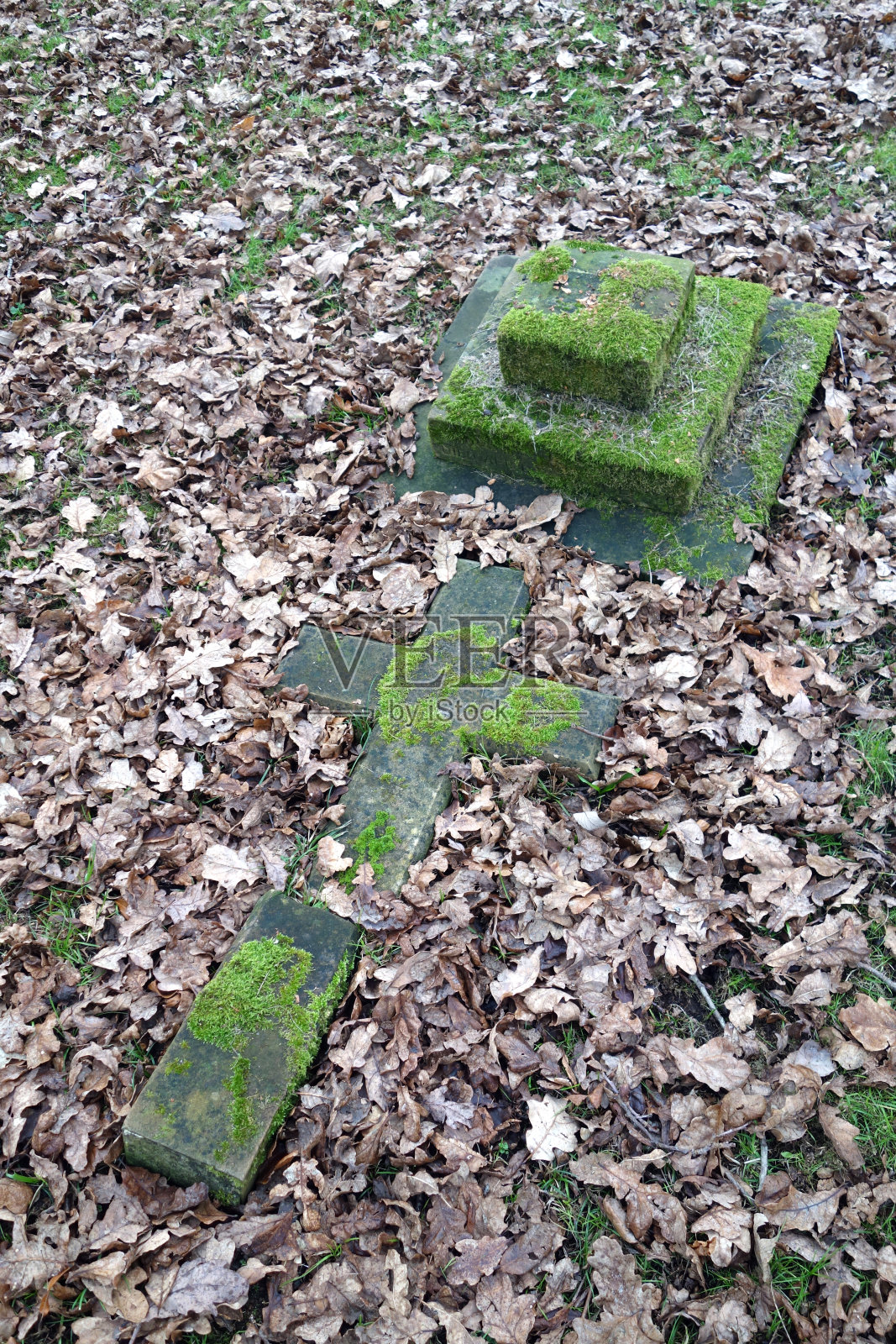 古老的墓地与破碎和倒下的十字架和坟墓在杂草丛生的幽灵照片摄影图片