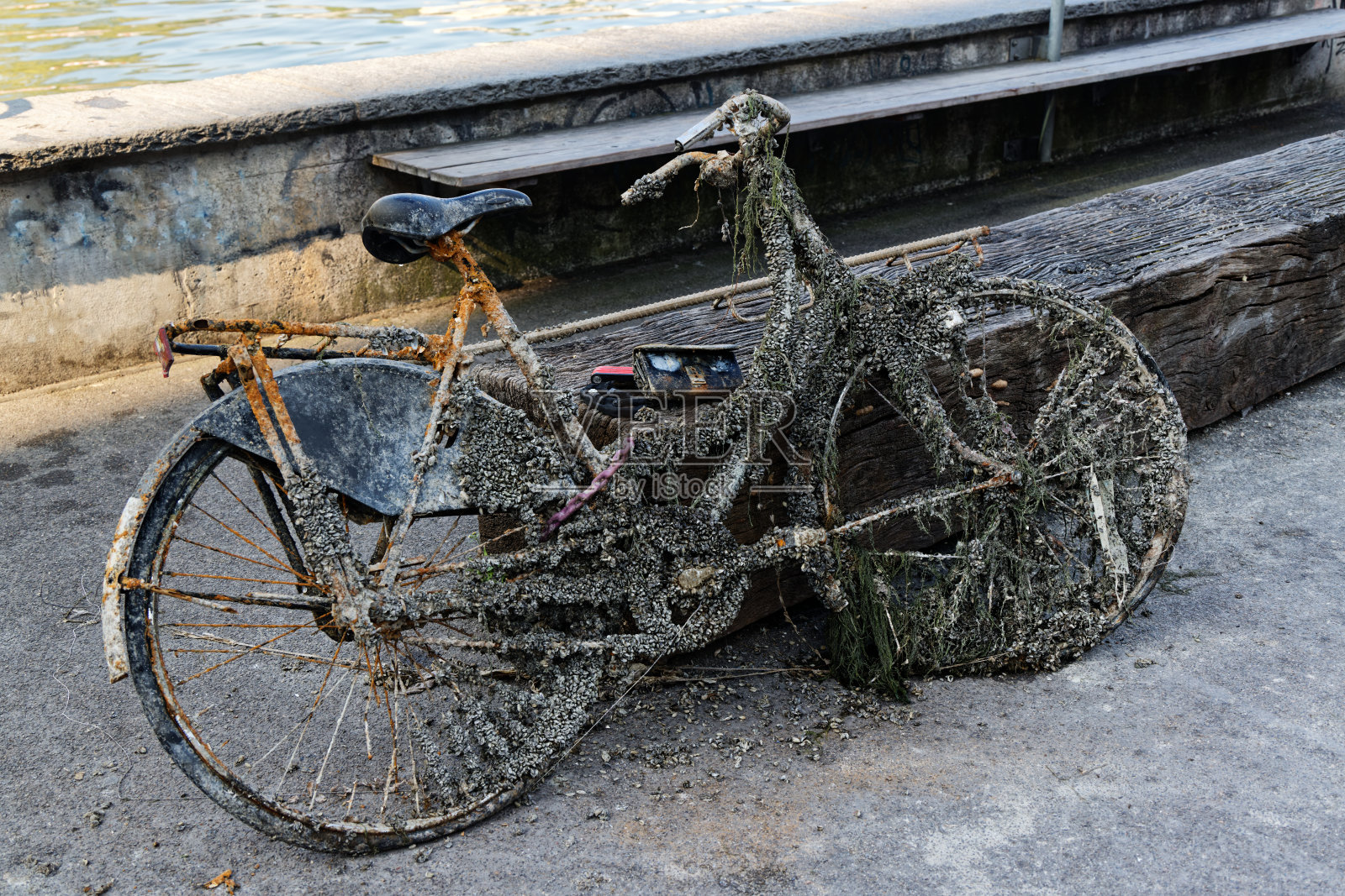 老太太的自行车从河里拖出来,青苔和许多石头粘在自行车上,完全生锈和破损,服务钱包和密码锁在木制长凳上,污染严重,一天没有人照片摄影图片