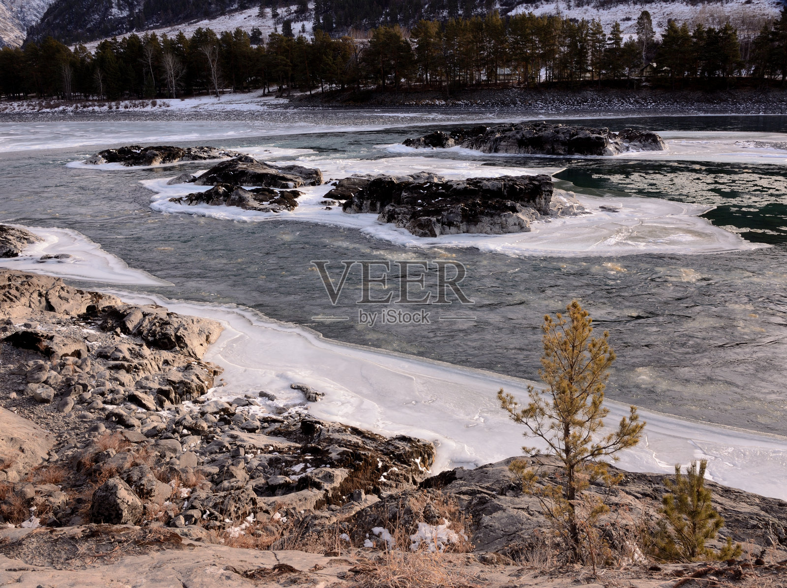 一棵小松树坐落在美丽的冰封山河的岩石岸边,被雪山环绕。照片摄影图片